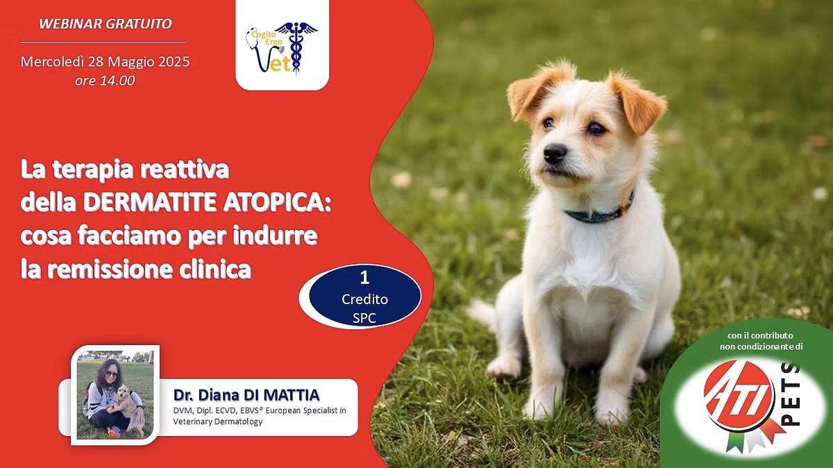 SLIDE INTERNA GALLO.jpg